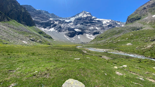 Vista della parete nord est della Grivola